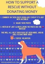Maybe you would like to learn more about one of these? Pin On Pet Adoption Marketing Ideas