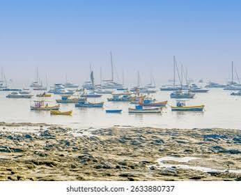 2,307 Mumbai Fishing Royalty-Free Images, Stock Photos & Pictures | Shutterstock