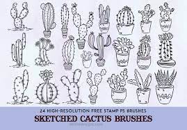 Protect the surface where you go to make your cactus, change clothes using some that you do not mind that it stains, prepare a container with water and paper. Sketched Cactus Brushes 24 High Res Succulent Images