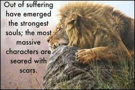 Out Of Suffering Lion Quotes Warrior Quotes Lion Painting