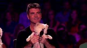 The best gifs for simon cowell funny. How To Make Your Facebook Video Ads Shine A Comprehensive Guide