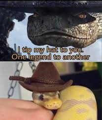 Cowboy Snek Sneks In 2020 Memes Gf Memes Funny Memes