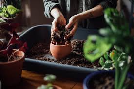 So we're digging up everything you need to care for every type of houseplant. Best Soil For Indoor Plants Kellogg Garden Organics