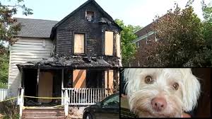 Maybe you would like to learn more about one of these? Illegal Fireworks Eyed In Fire That Destroyed Patchogue Home Killed Dog Abc7 New York