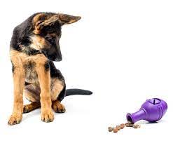The extreme black rubber version is one of the toughest toys for hard chewing dogs and is a staple of any good dog owner's toy arsenal. 7 Engaging Puzzle Toys For German Shepherds German Shepherd Dog Hq