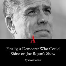 About two hours into the Gen Z influencer Andrew Callaghan's interview with  Hunter Biden, I had a moment of piercing clarity: Here is a Democrat you  could put