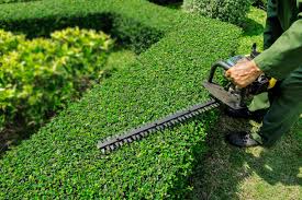 Profitez d�une prestation de qualit� pour vos travaux d�am�nagements ext�rieurs et espaces. Amenagement Des Espaces Verts Dans Le Village Commune De Sillery