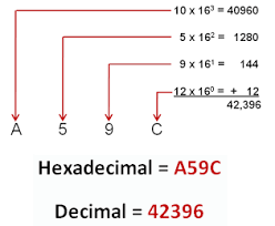 Hexadecimal To Decimal Binary Octal Converter Decimals Decimal Word Problems Fraction Word Problems