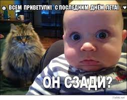 И не удивительно — ведь во многих регионах лето бывает коротким и насладится им некоторые даже не успевают. Vsem Privetuli S Poslednim Dnyom Leta Mem Na Fishki Net