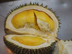 Berdasarkan pengamatan terhadap durian, terlihat sel epidermisnya berbentuk kulit. De Durian