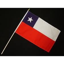 Finde die schönsten kostenlosen chile flagge bilder, lade sie herunter und benutze sie auch für kommerzielle zwecke. Stock Flagge 30 X 45 Chile 3 50
