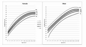 Representative Chart Showing The Shoes Size According To