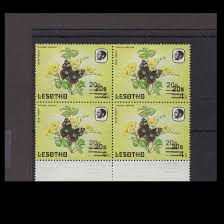 Image result for Yellow 1986 UMM