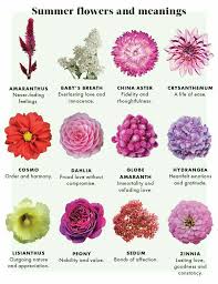 Check spelling or type a new query. 18 Best Flower Meanings Ideas Flower Meanings Language Of Flowers Funeral Flower Arrangements