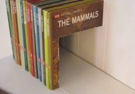 20 Secret Doors And Clever Hiding Places Make Secret Storage Secret Door Hiding Spots