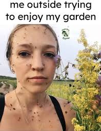 Bruh me outside trying to enjoy my garden የጠጠ Bloog Maypnto Мтроя