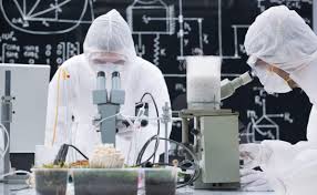 7 stock predictions for biden's first year also, what makes neos intriguing is its microparticle delivery technology. Champignon Brands Inc Announces Revamped Brand Identity Including Name Change To Apotheosis Scientific Ltd And Spinout