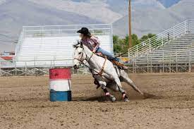 There is a specific pattern for each course, so be sure to use the help button if you don't know what the course is (you'll definitely have to use it the first time around). Court Says Florida Barrel Racing License In Violation The Horse