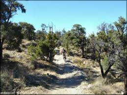 Rowher flats ohv area is open year round. Big Bear Lake California Motorcycle And Atv Trails