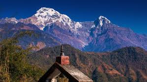 Tea, teatime, wiener roast, british lunch, light repast, antonyms: Everything You Need To Know About Volunteering In Nepal Go Overseas