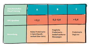 Ihre katze ist ihr bester kumpel?! Die Stadien Der Cne Und Ihre Richtlinien Cat Life
