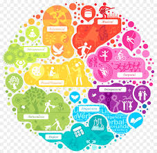 las inteligencias multiples la teoria de las inteligencias multiples la inteligencia imagen png imagen transparente descarga gratuita inteligencia imagen png