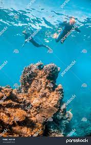 صخره مرجانی رنگارنگ و پر جنب و جوش در آب های کم عمق شفاف با غواصی هایی که  در بالا شنا می کنند و از صحنه لذت می برند 1637139