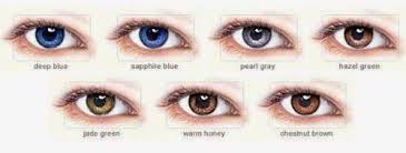 Different Shades Of Blue Eyes Chart Shades Of Brown Eyes