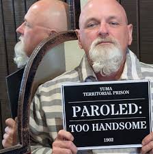 Automatic card shufflers recommendations please