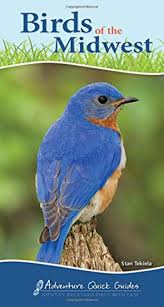Birds Of Southern Illinois Book Birds Of The Midwest Identify Backyard Birds With Ease Adventure Quick Guides By Stan Tekiela Adventure Publications In 2020 Backyard Birds Missouri Birds Midwest Birds