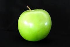 Image result for sa granny smith apple