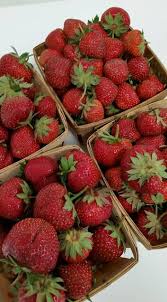 There's more to this summertime fruit than its juicy. Recipes