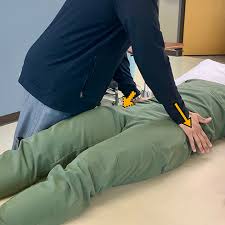 Image result for Pelvic Compression Test