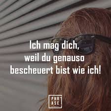 Wir haben die besten und süßesten sprüche für sie und ihn zusammengestellt. Ich Mag Dich Weil Du Genauso Bescheuert Bist Wie Ich Beste Freundin Spruche Kurz Kurze Spruche Freunschaft Spruche