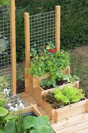 80 Awesome Backyard Vegetable Garden Design Ideas Backyard Vegetable Gardens Vegetable Garden Design Vegetable Garden For Beginners