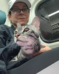 Birthdays are tough—I sink into a swamp of regret about the lifelong dreams  that I haven't had the health to pursue with the stamina and vigor I  intended. For my 55th I