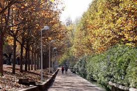 LittleMissBunda-She's Not a Chatty Type-OnlyFans Leaks