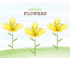 Watercolor hand painted nature floral seamless pattern with yellow and white blossom narcissus flowers. Yellow Watercolor Flowers Vector Vector Art Graphics Freevector Com