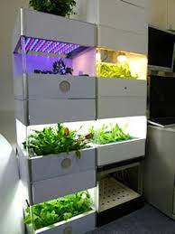 38 Indoor Hydroponic Garden Ideas To Decorate Your House Hydroponic Gardening Backyard Aquaponics Hydroponics