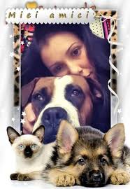 PORTRAIT PHOTOGRAPHER