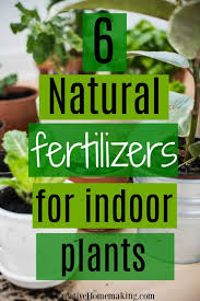 6 Natural Fertilizers For Indoor Plants Creative Homemaking In 2020 Natural Plant Fertilizer Plant Benefits Natural Fertilizer