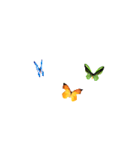 Butterflies Butterfly Insects Insect Blue Green Yellow Gif Jitter Bug Girl Butterflies Butterfly Insects Insect Blue Green Yellow Animation Gif Jitter Bug Girl Picmix The members at lovethisgif are huge fans of chasing butterflies gif images. butterflies butterfly insects insect