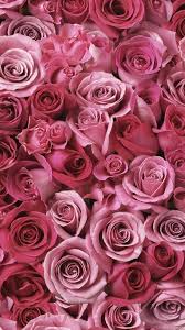 4k Rose Wallpaper In 2020 Flower Background Iphone Flower Background Wallpaper Flower Backgrounds
