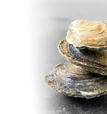 Ceux Qui Aiment Les Fruits De Mer Font Plus L Amour Que Les Autres Fruits De Mer Fruits Aiment