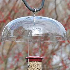 Bird Feeder Rain Guard Universal Bird Feeder Weather Dome In 2020 Bird Feeders Feeder Bird