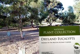 Has been dedicated to providing quality, durable, and innovative lawn and garden tools. Australian Botanic Gardens Join Fight Against Plant Pests Issuu