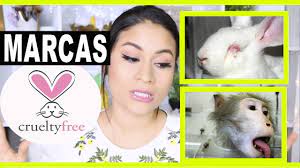 Deseamos que los consumidores puedan darse cuenta que están llevando a cabo pruebas en animales a puertas cerradas. Marcas De Maquillaje Que No Experimentan En Animales I Corina Ceren Youtube