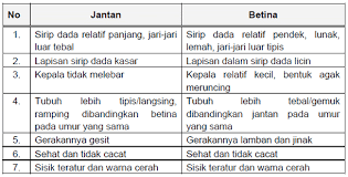 Check spelling or type a new query. Budidaya Pembenihan Ikan Mas Alam Tani