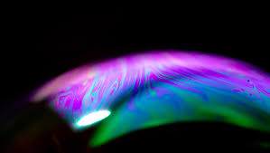 Seven Great Macro Photography Ideas To Shoot At Home Fstoppers