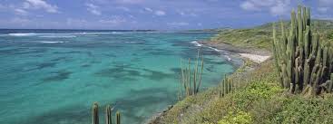 Découvrez la météo prévue (température. Tout Savoir Sur La Martinique Tropicalement Votre